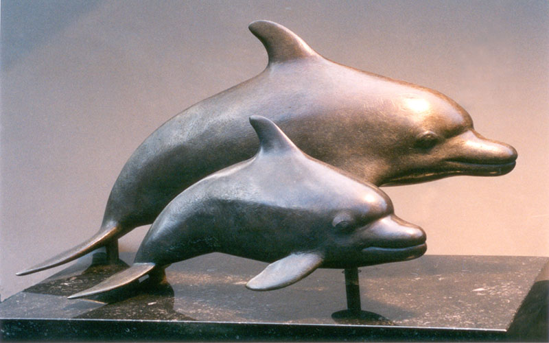 dolphin1