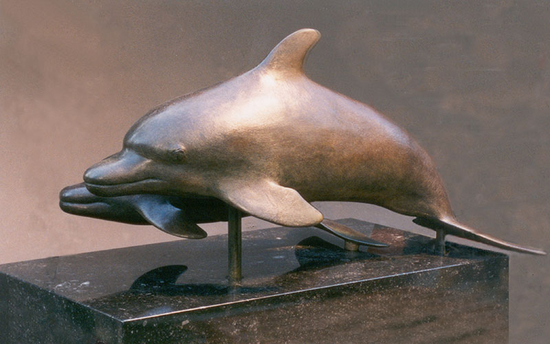 dolphin2